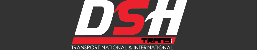 dsh logo